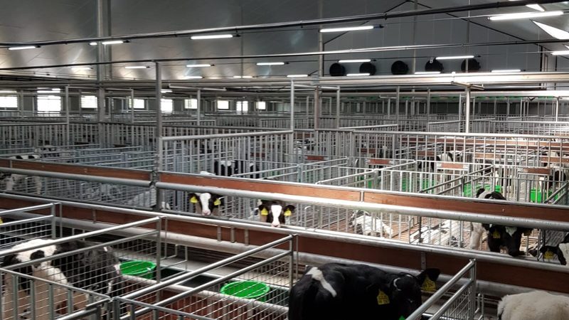 上海电商孵化选品机构：揭秘选品背后的逻辑与策略